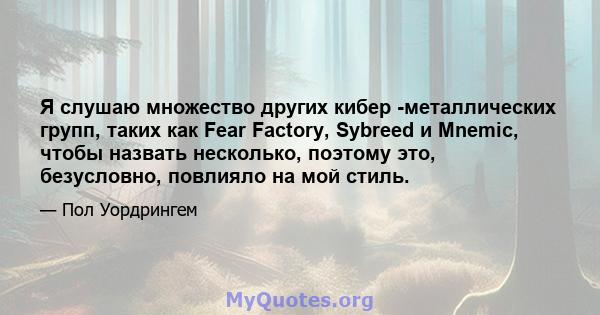 Я слушаю множество других кибер -металлических групп, таких как Fear Factory, Sybreed и Mnemic, чтобы назвать несколько, поэтому это, безусловно, повлияло на мой стиль.