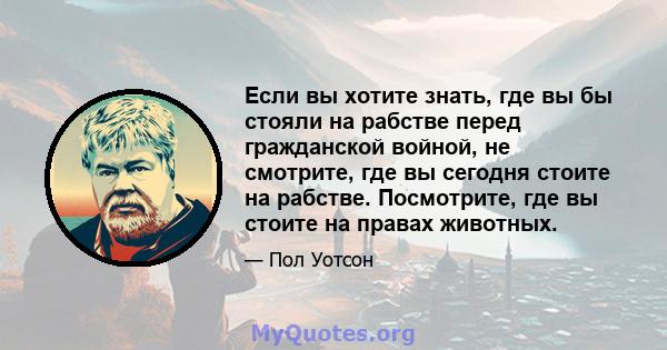 Если вы хотите знать, где вы бы стояли на рабстве перед гражданской войной, не смотрите, где вы сегодня стоите на рабстве. Посмотрите, где вы стоите на правах животных.