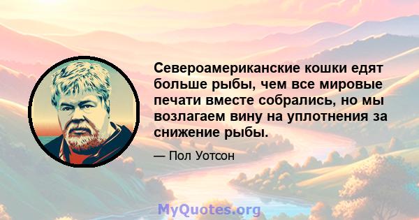 Североамериканские кошки едят больше рыбы, чем все мировые печати вместе собрались, но мы возлагаем вину на уплотнения за снижение рыбы.