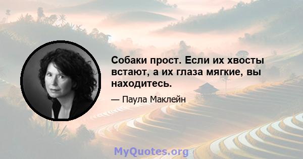 Собаки прост. Если их хвосты встают, а их глаза мягкие, вы находитесь.