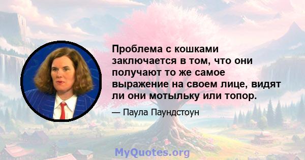 Проблема с кошками заключается в том, что они получают то же самое выражение на своем лице, видят ли они мотыльку или топор.