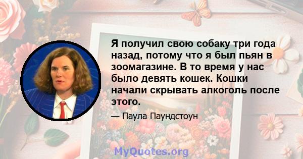 Я получил свою собаку три года назад, потому что я был пьян в зоомагазине. В то время у нас было девять кошек. Кошки начали скрывать алкоголь после этого.