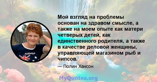 Мой взгляд на проблемы основан на здравом смысле, а также на моем опыте как матери четверых детей, как единственного родителя, а также в качестве деловой женщины, управляющей магазином рыб и чипсов.