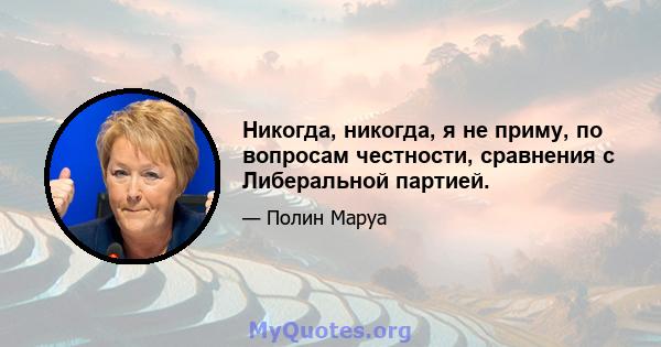 Никогда, никогда, я не приму, по вопросам честности, сравнения с Либеральной партией.