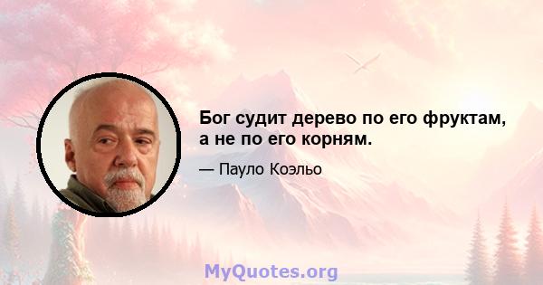 Бог судит дерево по его фруктам, а не по его корням.