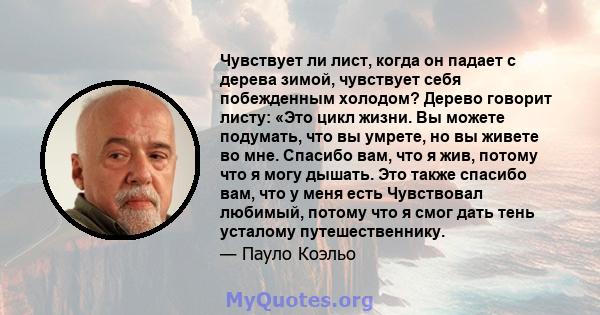 Чувствует ли лист, когда он падает с дерева зимой, чувствует себя побежденным холодом? Дерево говорит листу: «Это цикл жизни. Вы можете подумать, что вы умрете, но вы живете во мне. Спасибо вам, что я жив, потому что я