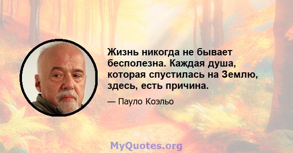 Жизнь никогда не бывает бесполезна. Каждая душа, которая спустилась на Землю, здесь, есть причина.