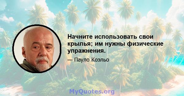 Начните использовать свои крылья; им нужны физические упражнения.