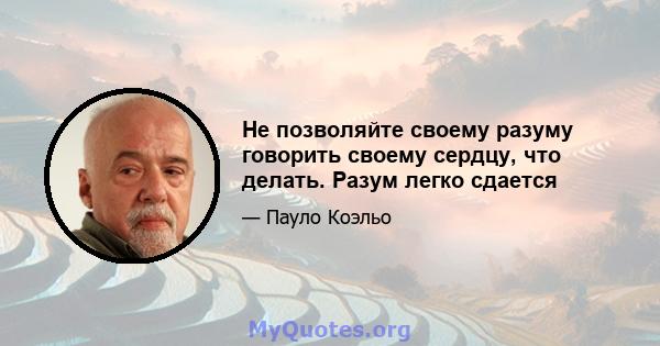 Не позволяйте своему разуму говорить своему сердцу, что делать. Разум легко сдается