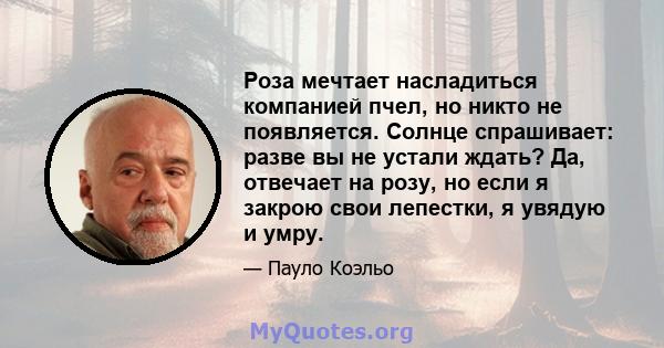 Роза мечтает насладиться компанией пчел, но никто не появляется. Солнце спрашивает: разве вы не устали ждать? Да, отвечает на розу, но если я закрою свои лепестки, я увядую и умру.