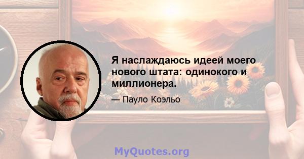 Я наслаждаюсь идеей моего нового штата: одинокого и миллионера.