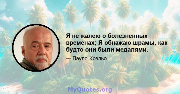 Я не жалею о болезненных временах; Я обнажаю шрамы, как будто они были медалями.