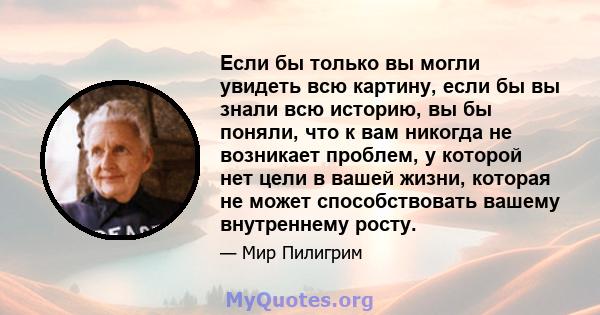 Если бы только вы могли увидеть всю картину, если бы вы знали всю историю, вы бы поняли, что к вам никогда не возникает проблем, у которой нет цели в вашей жизни, которая не может способствовать вашему внутреннему росту.