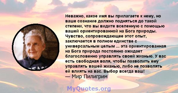 Неважно, какое имя вы прилагаете к нему, но ваше сознание должно подняться до такой степени, что вы видите вселенную с помощью вашей ориентированной на Бога природы. Чувство, сопровождающее этот опыт, заключается в