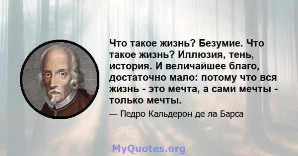 Что такое жизнь? Безумие. Что такое жизнь? Иллюзия, тень, история. И величайшее благо, достаточно мало: потому что вся жизнь - это мечта, а сами мечты - только мечты.