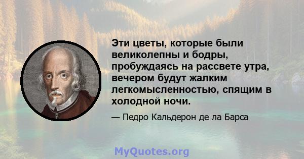 Эти цветы, которые были великолепны и бодры, пробуждаясь на рассвете утра, вечером будут жалким легкомысленностью, спящим в холодной ночи.