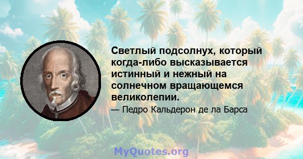 Светлый подсолнух, который когда-либо высказывается истинный и нежный на солнечном вращающемся великолепии.