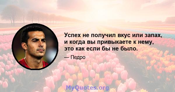 Успех не получил вкус или запах, и когда вы привыкаете к нему, это как если бы не было.