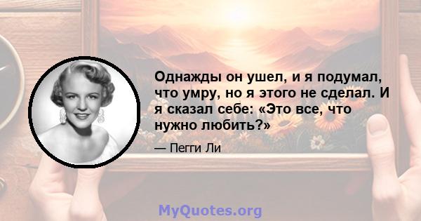 Однажды он ушел, и я подумал, что умру, но я этого не сделал. И я сказал себе: «Это все, что нужно любить?»