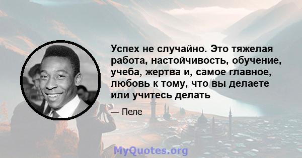 Успех не случайно. Это тяжелая работа, настойчивость, обучение, учеба, жертва и, самое главное, любовь к тому, что вы делаете или учитесь делать