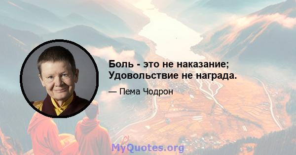 Боль - это не наказание; Удовольствие не награда.