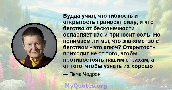 Будда учил, что гибкость и открытость приносят силу, и что бегство от бесконечности ослабляет нас и приносит боль. Но понимаем ли мы, что знакомство с бегством - это ключ? Открытость приходит не от того, чтобы