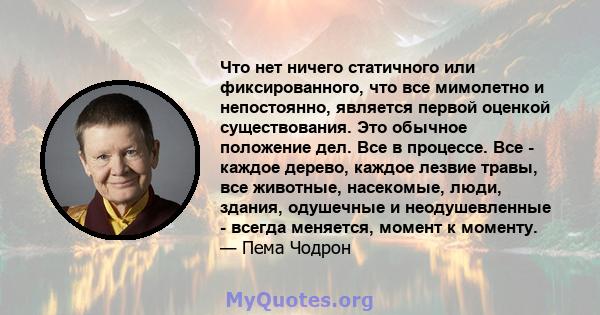 Что нет ничего статичного или фиксированного, что все мимолетно и непостоянно, является первой оценкой существования. Это обычное положение дел. Все в процессе. Все - каждое дерево, каждое лезвие травы, все животные,