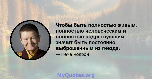 Чтобы быть полностью живым, полностью человеческим и полностью бодрствующим - значит быть постоянно выброшенным из гнезда.