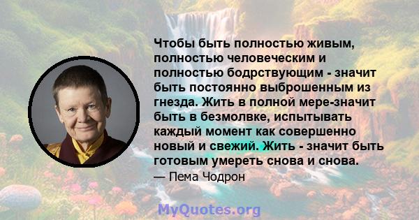 Чтобы быть полностью живым, полностью человеческим и полностью бодрствующим - значит быть постоянно выброшенным из гнезда. Жить в полной мере-значит быть в безмолвке, испытывать каждый момент как совершенно новый и