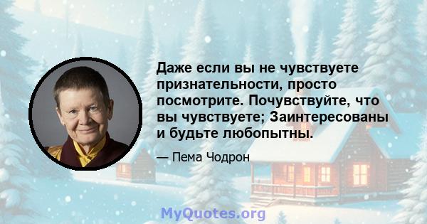 Даже если вы не чувствуете признательности, просто посмотрите. Почувствуйте, что вы чувствуете; Заинтересованы и будьте любопытны.