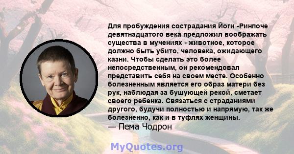 Для пробуждения сострадания Йоги -Ринпоче девятнадцатого века предложил воображать существа в мучениях - животное, которое должно быть убито, человека, ожидающего казни. Чтобы сделать это более непосредственным, он