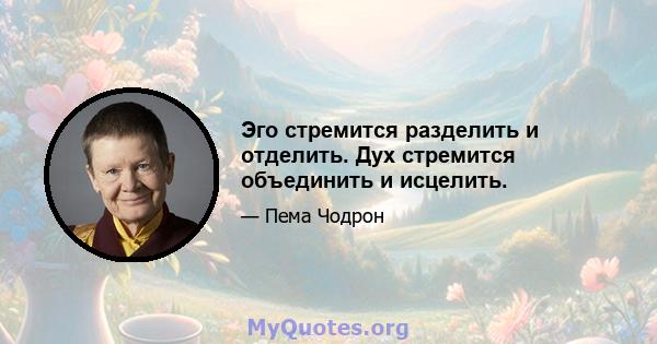 Эго стремится разделить и отделить. Дух стремится объединить и исцелить.