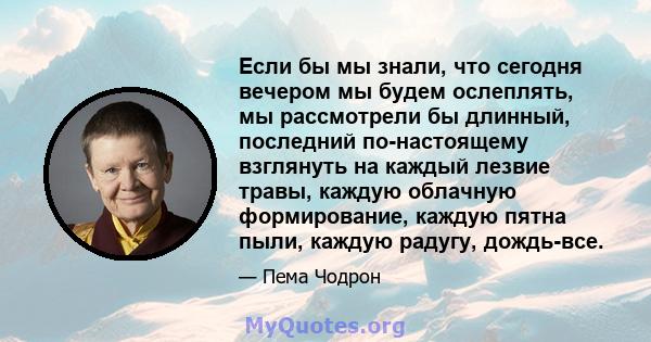 Если бы мы знали, что сегодня вечером мы будем ослеплять, мы рассмотрели бы длинный, последний по-настоящему взглянуть на каждый лезвие травы, каждую облачную формирование, каждую пятна пыли, каждую радугу, дождь-все.