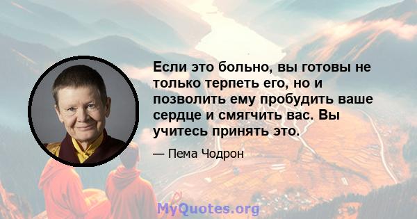 Если это больно, вы готовы не только терпеть его, но и позволить ему пробудить ваше сердце и смягчить вас. Вы учитесь принять это.