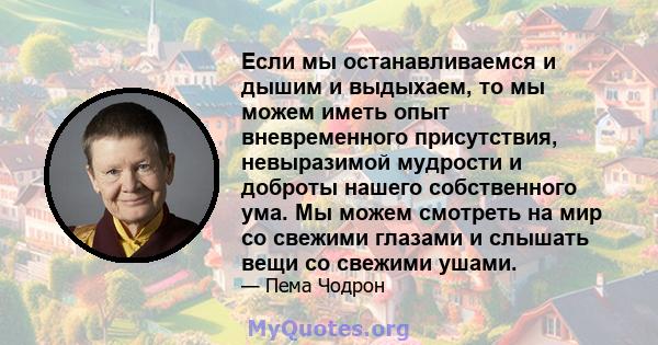 Если мы останавливаемся и дышим и выдыхаем, то мы можем иметь опыт вневременного присутствия, невыразимой мудрости и доброты нашего собственного ума. Мы можем смотреть на мир со свежими глазами и слышать вещи со свежими 