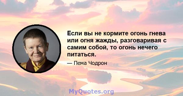 Если вы не кормите огонь гнева или огня жажды, разговаривая с самим собой, то огонь нечего питаться.