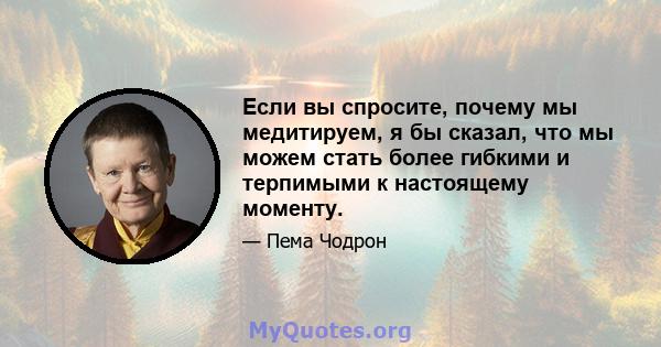 Если вы спросите, почему мы медитируем, я бы сказал, что мы можем стать более гибкими и терпимыми к настоящему моменту.