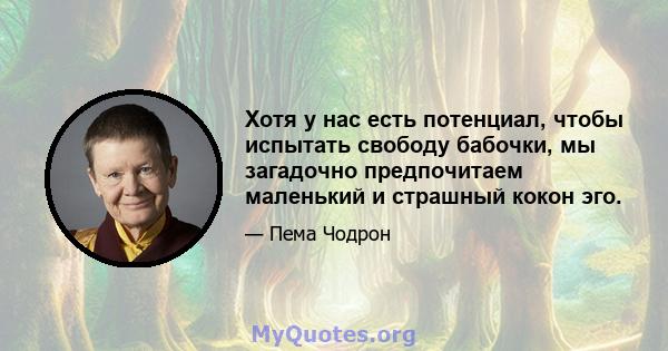 Хотя у нас есть потенциал, чтобы испытать свободу бабочки, мы загадочно предпочитаем маленький и страшный кокон эго.