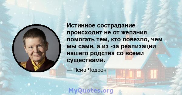 Истинное сострадание происходит не от желания помогать тем, кто повезло, чем мы сами, а из -за реализации нашего родства со всеми существами.