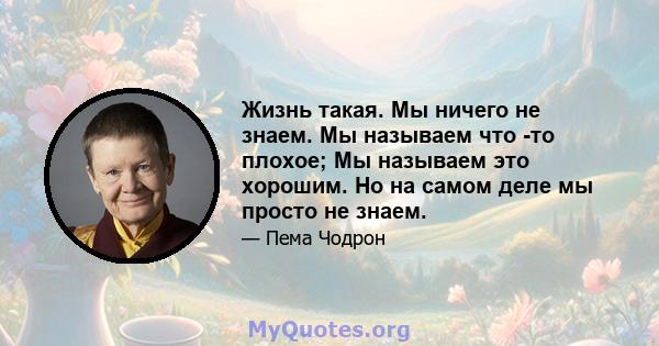 Жизнь такая. Мы ничего не знаем. Мы называем что -то плохое; Мы называем это хорошим. Но на самом деле мы просто не знаем.