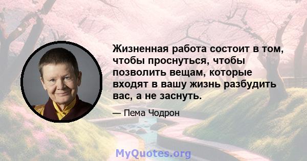 Жизненная работа состоит в том, чтобы проснуться, чтобы позволить вещам, которые входят в вашу жизнь разбудить вас, а не заснуть.