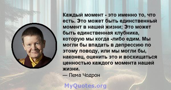 Каждый момент - это именно то, что есть. Это может быть единственный момент в нашей жизни; Это может быть единственная клубника, которую мы когда -либо едим. Мы могли бы впадать в депрессию по этому поводу, или мы могли 