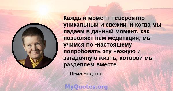 Каждый момент невероятно уникальный и свежий, и когда мы падаем в данный момент, как позволяет нам медитация, мы учимся по -настоящему попробовать эту нежную и загадочную жизнь, которой мы разделяем вместе.