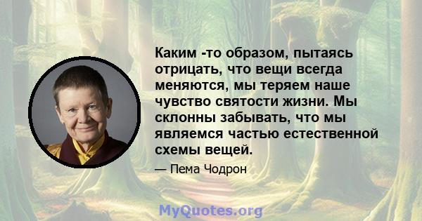 Каким -то образом, пытаясь отрицать, что вещи всегда меняются, мы теряем наше чувство святости жизни. Мы склонны забывать, что мы являемся частью естественной схемы вещей.