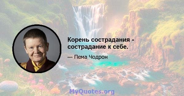 Корень сострадания - сострадание к себе.