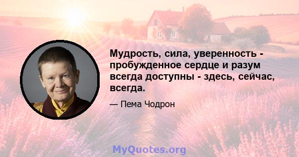 Мудрость, сила, уверенность - пробужденное сердце и разум всегда доступны - здесь, сейчас, всегда.