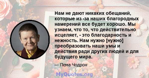 Нам не дают никаких обещаний, которые из -за наших благородных намерений все будет хорошо. Мы узнаем, что то, что действительно исцеляет, - это благодарность и нежность. Нам нужно [нужно] преобразовать наши умы и