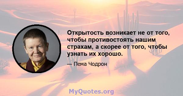 Открытость возникает не от того, чтобы противостоять нашим страхам, а скорее от того, чтобы узнать их хорошо.