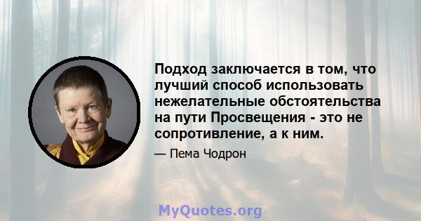 Подход заключается в том, что лучший способ использовать нежелательные обстоятельства на пути Просвещения - это не сопротивление, а к ним.