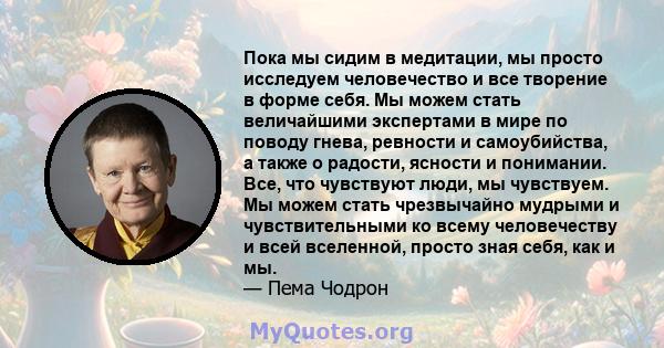 Пока мы сидим в медитации, мы просто исследуем человечество и все творение в форме себя. Мы можем стать величайшими экспертами в мире по поводу гнева, ревности и самоубийства, а также о радости, ясности и понимании.